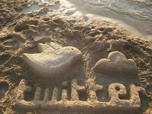 083010 - Week 4 - Social Networking - Twitter escultura de arena by Rosaura Ochoa Twitter Sand Sculpture / Twitter escultura de arena by Rosaura Ochoa
