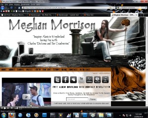 The final product for my new website after using the bandzoogle custom style builder