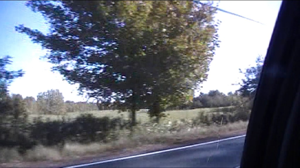 Meghan Morrison's boring tree footage. Lark tour 2011.